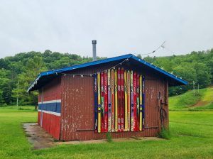 USa spesialisten Amerikaspesialisten, nordmannsreiser, cruisereiser