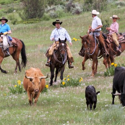 Ferie på ranch i Colorado, amerikaspesialisten, nordmannsreiser, cruisereiser