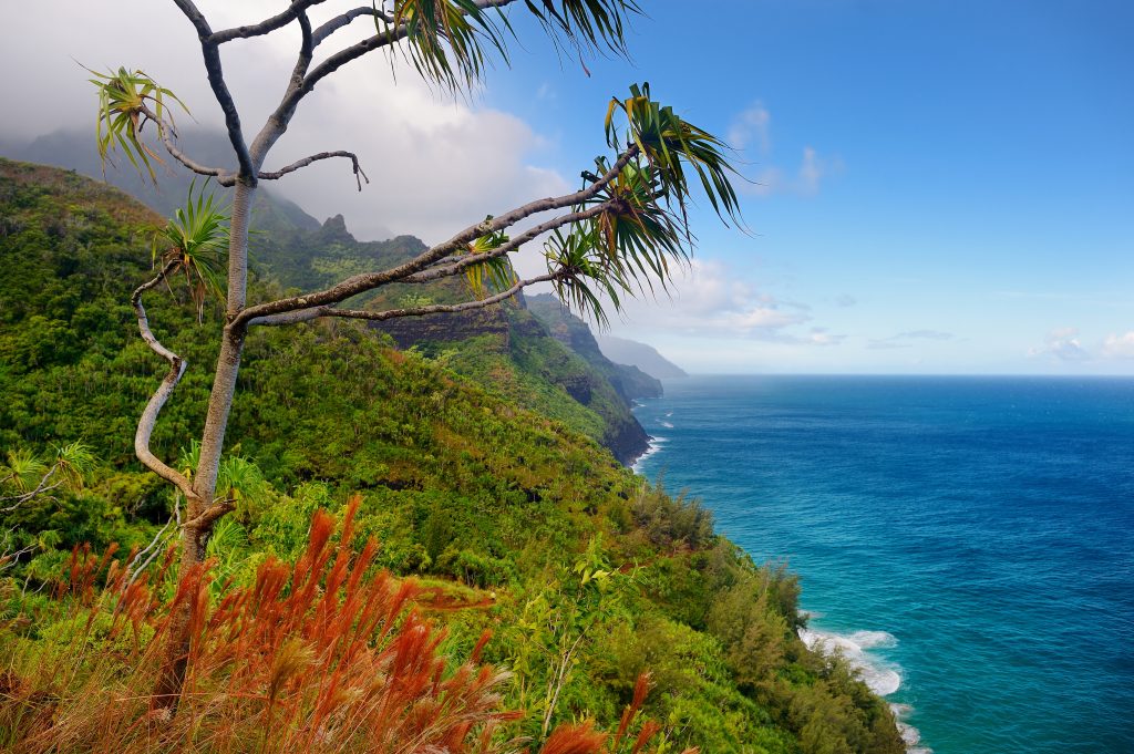 opplevelser på Hawaii USa spesialisten Amerikaspesialisten, nordmannsreiser, cruisereiser