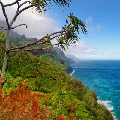 opplevelser på Hawaii USa spesialisten Amerikaspesialisten, nordmannsreiser, cruisereiser